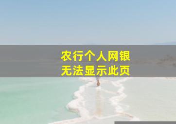 农行个人网银无法显示此页