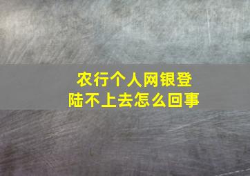 农行个人网银登陆不上去怎么回事