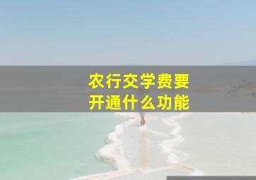 农行交学费要开通什么功能