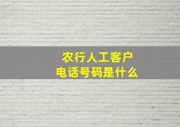 农行人工客户电话号码是什么