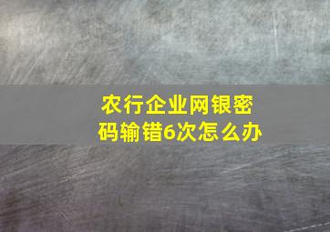 农行企业网银密码输错6次怎么办