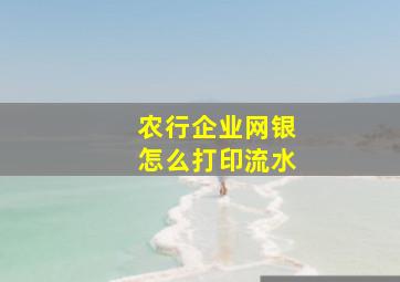 农行企业网银怎么打印流水