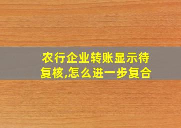 农行企业转账显示待复核,怎么进一步复合