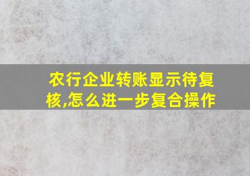 农行企业转账显示待复核,怎么进一步复合操作