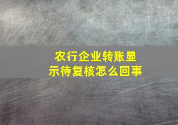 农行企业转账显示待复核怎么回事