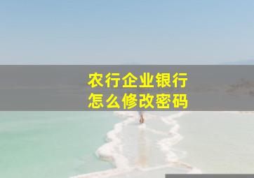 农行企业银行怎么修改密码