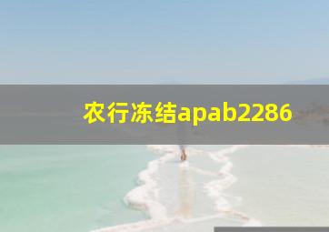 农行冻结apab2286