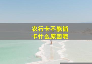 农行卡不能销卡什么原因呢