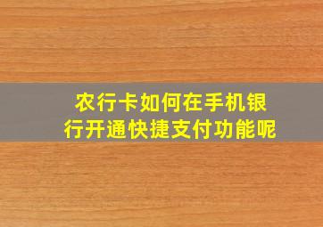 农行卡如何在手机银行开通快捷支付功能呢