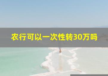 农行可以一次性转30万吗