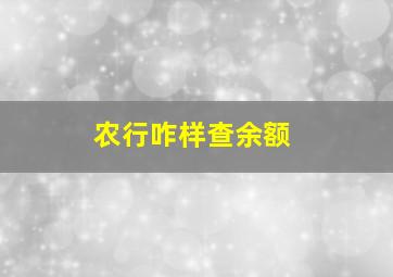 农行咋样查余额