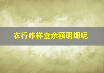 农行咋样查余额明细呢