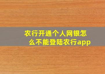 农行开通个人网银怎么不能登陆农行app