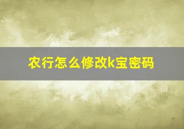 农行怎么修改k宝密码