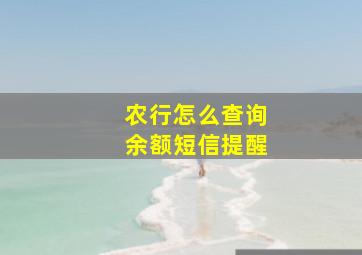 农行怎么查询余额短信提醒