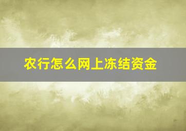 农行怎么网上冻结资金