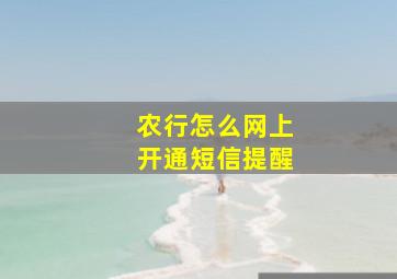 农行怎么网上开通短信提醒