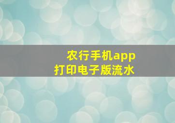 农行手机app打印电子版流水