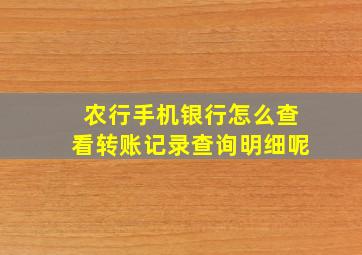 农行手机银行怎么查看转账记录查询明细呢