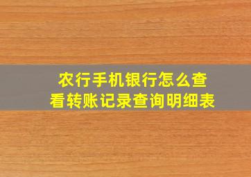 农行手机银行怎么查看转账记录查询明细表