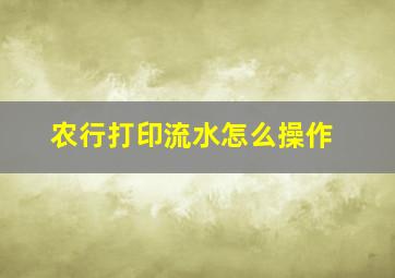 农行打印流水怎么操作