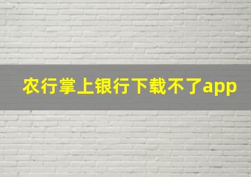 农行掌上银行下载不了app