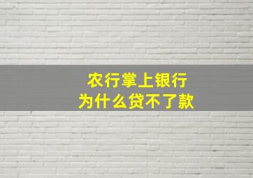 农行掌上银行为什么贷不了款