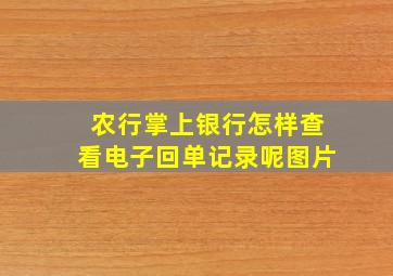 农行掌上银行怎样查看电子回单记录呢图片