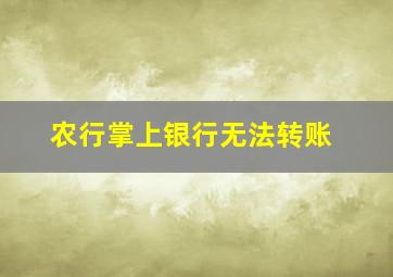 农行掌上银行无法转账