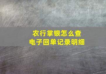 农行掌银怎么查电子回单记录明细