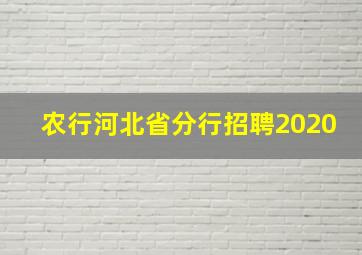 农行河北省分行招聘2020