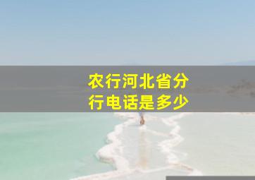 农行河北省分行电话是多少