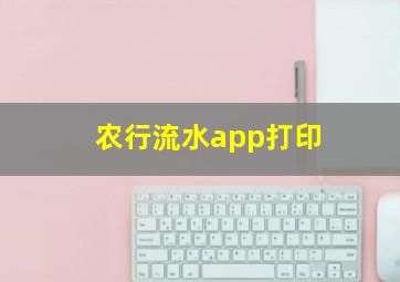 农行流水app打印