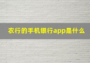 农行的手机银行app是什么