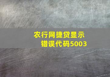 农行网捷贷显示错误代码5003