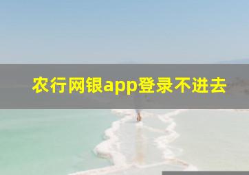 农行网银app登录不进去