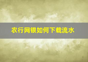 农行网银如何下载流水