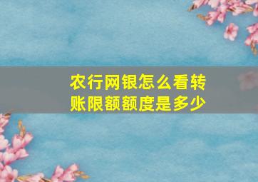 农行网银怎么看转账限额额度是多少