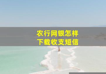 农行网银怎样下载收支短信