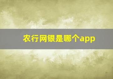 农行网银是哪个app