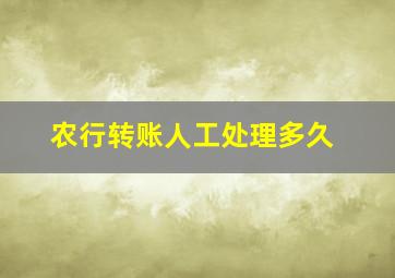 农行转账人工处理多久