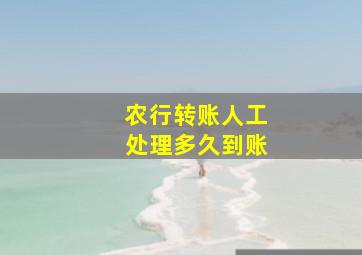 农行转账人工处理多久到账