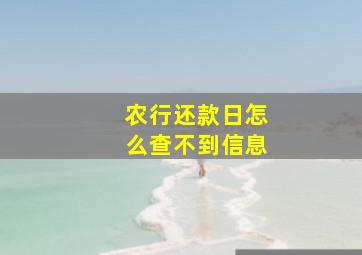 农行还款日怎么查不到信息