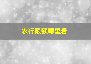 农行限额哪里看