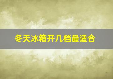 冬天冰箱开几档最适合