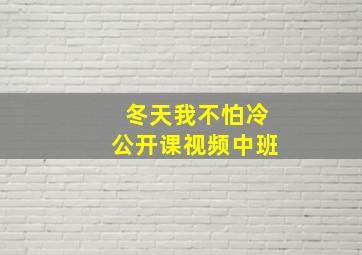 冬天我不怕冷公开课视频中班