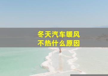 冬天汽车暖风不热什么原因