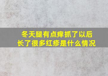 冬天腿有点痒抓了以后长了很多红疹是什么情况