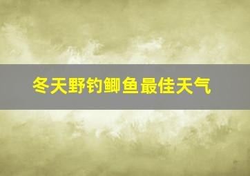 冬天野钓鲫鱼最佳天气