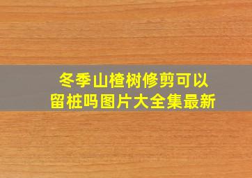 冬季山楂树修剪可以留桩吗图片大全集最新